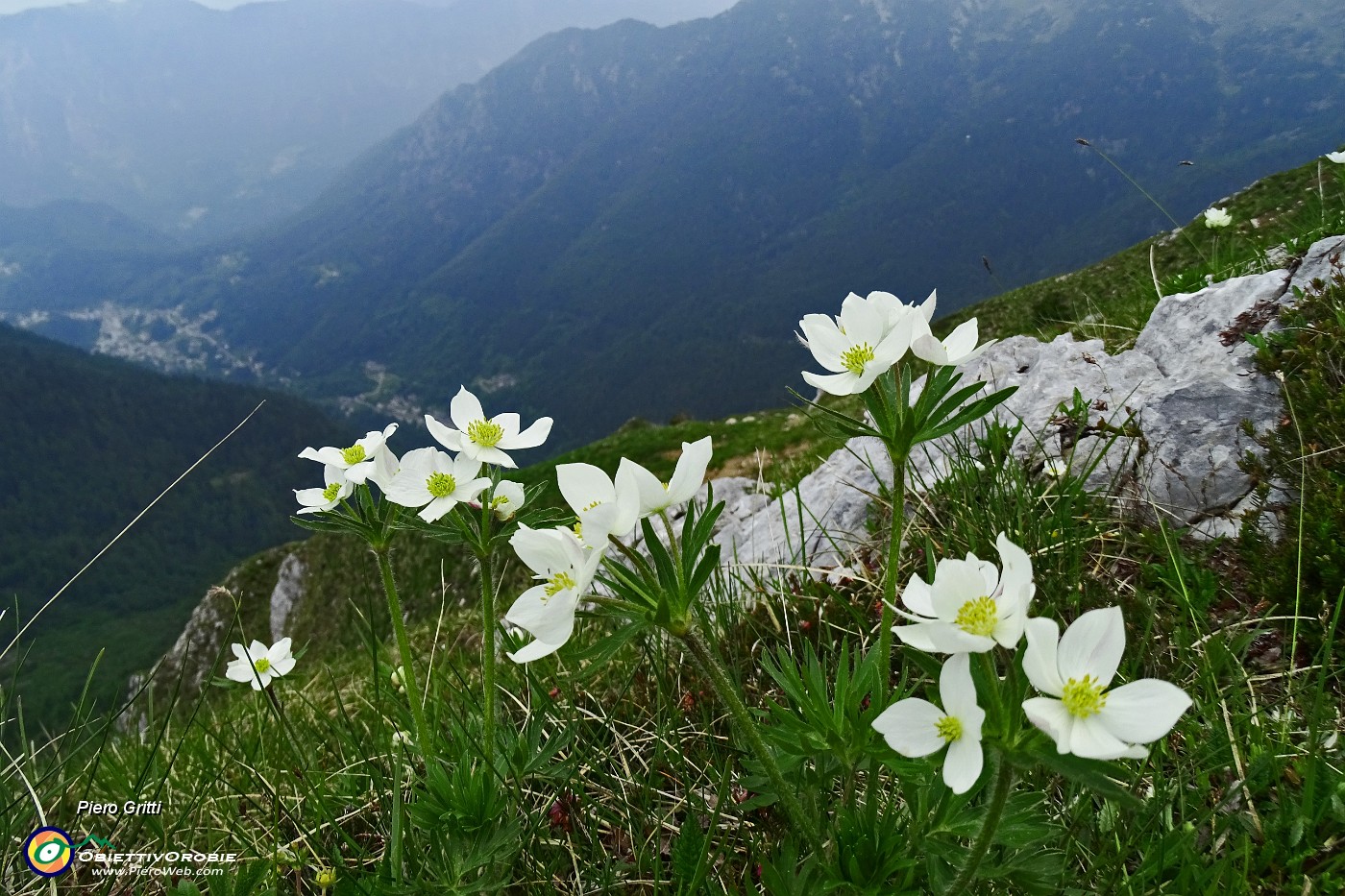 64 Vista sulla Valle di Roncobello.JPG -                                